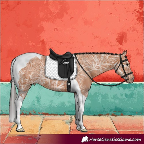 Horse Color:Bay Ice Tobiano 