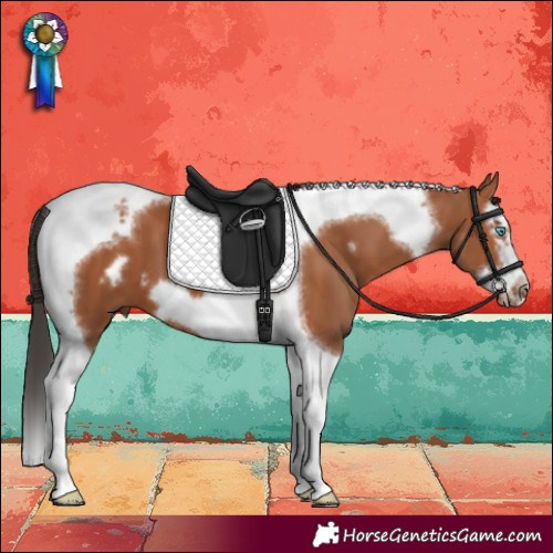 Horse Color:Bay Splash Tobiano Frame 