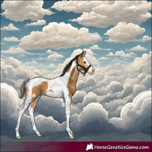 Horse Color:Buckskin Splash Tobiano Frame 