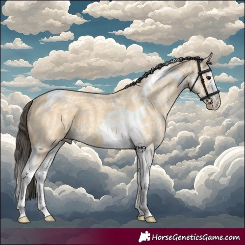 Horse Color:Buckskin Ice Splash Tobiano 