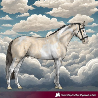 Horse Color:Buckskin Ice Splash Tobiano 