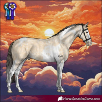 Horse Color:Buckskin Ice Splash Tobiano