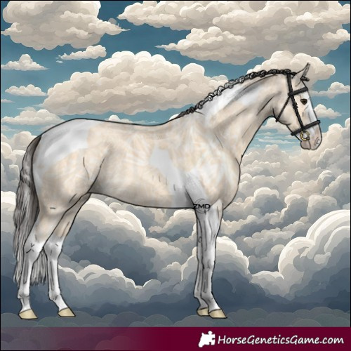 Horse Color:Buckskin Ice Splash Tobiano 