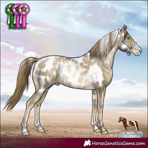 Horse Color:White Spotted Smoky Black Pearl Sabino Appaloosa Rabicano 