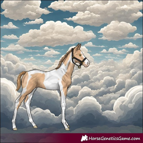 Horse Color:Gold Champagne Tobiano 