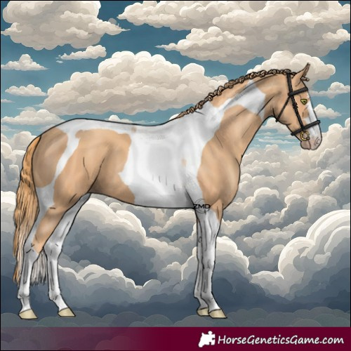 Horse Color:Gold Champagne Tobiano 