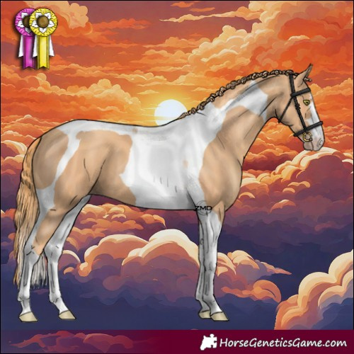 Horse Color:Gold Champagne Tobiano