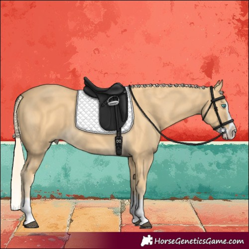 Horse Color:Palomino Splash 