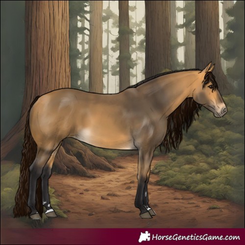 Horse Color:Buckskin