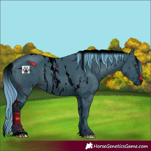 Horse Color:ERROR: UNKNOWN ANOMALY