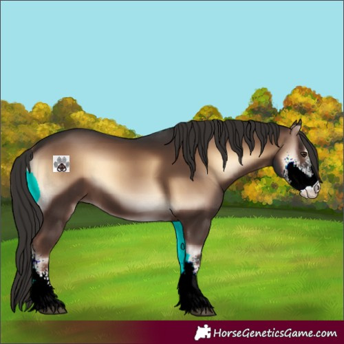 Horse Color:Liver Red Onyx Sabino
