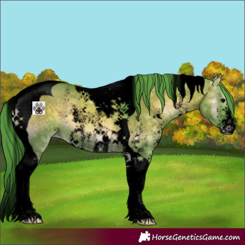 Horse Color:Void Watercolor Grullo Onyx Sabino Tobiano 