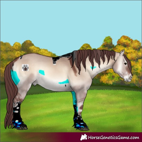 Horse Color:Chocolate Brown Onyx Mushroom Sabino Tobiano 