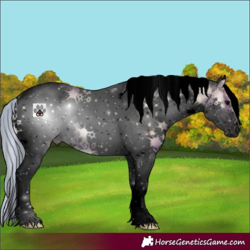 Horse Color:Void Watercolor White Spotted Silver Blue Onyx Tobiano