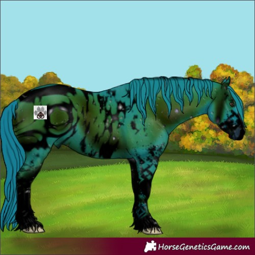 Horse Color:ERROR: UNKNOWN ANOMALY