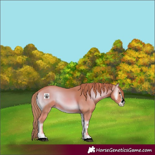 Horse Color:Watercolor Red Onyx Sabino 