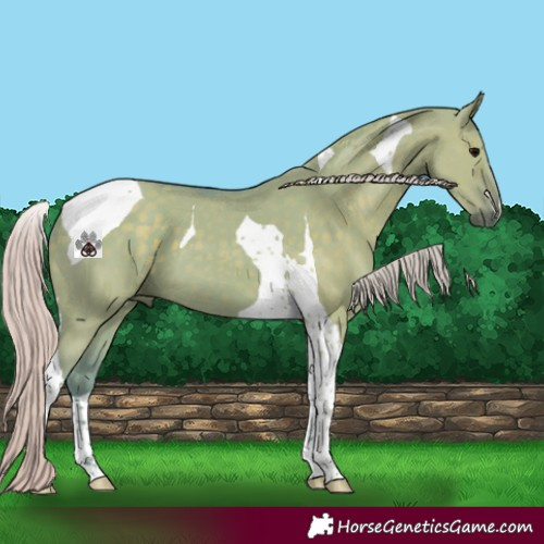 Horse Color:Watercolor Silver Grullo Tobiano