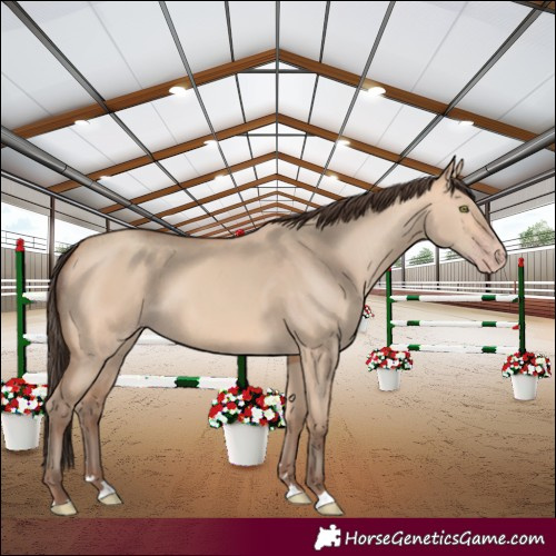 Horse Color:Amber Champagne Dun 