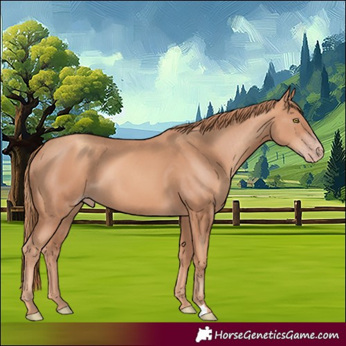 Horse Color:Gold Champagne 