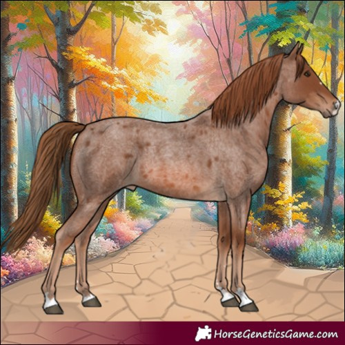 Horse Color:Red Roan 