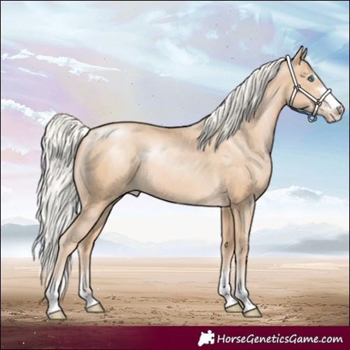 Horse Color:Silver Buckskin Pearl