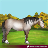 Horse Color:Gray Amber Champagne Tobiano 