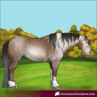 Horse Color:Gray Amber Champagne Tobiano 