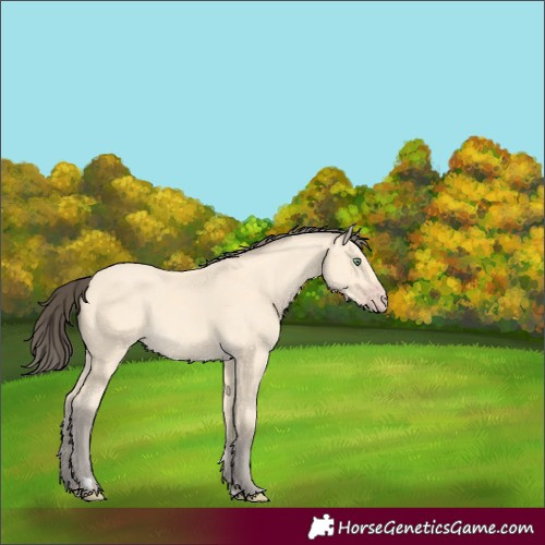 Horse Color:Amber Cream Champagne 