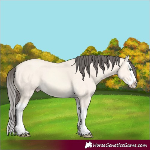 Horse Color:Amber Cream Champagne Dun Splash 