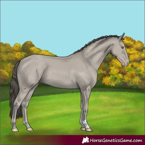 Horse Color:Classic Cream Champagne 