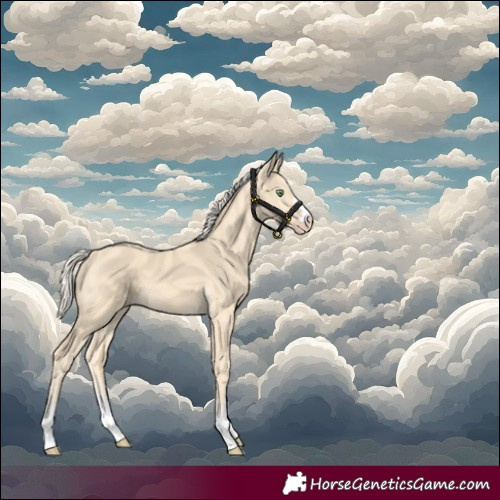 Horse Color:Gold Cream Champagne 
