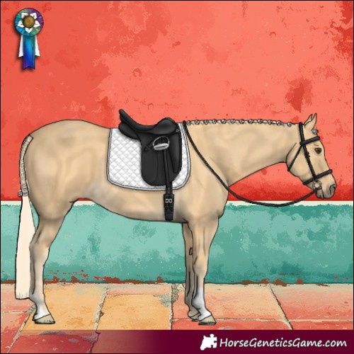 Horse Color:Palomino 