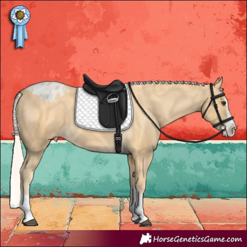 Horse Color:Palomino Splash Blanket 
