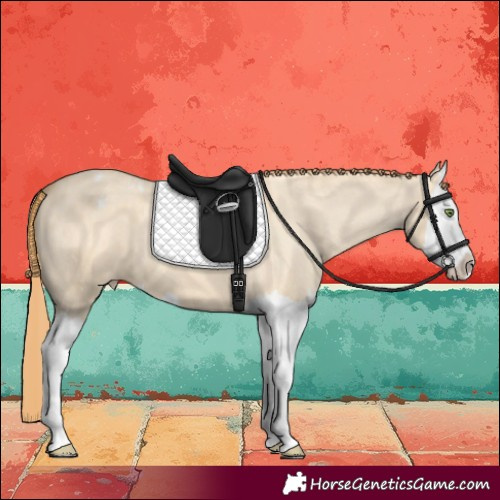 Horse Color:Gold Champagne Dun Splash Varnish 