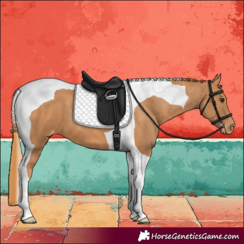 Horse Color:Chestnut Tobiano Varnish 