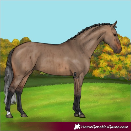 Horse Color:Brown Dun Brindle