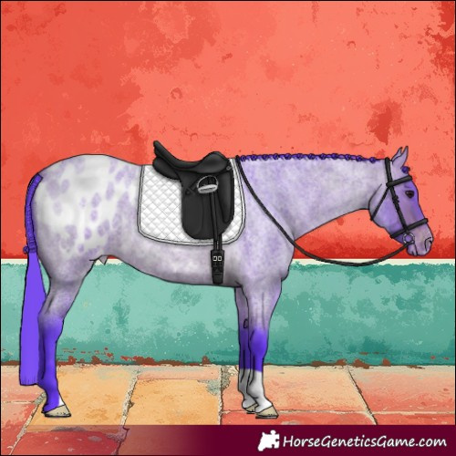 Horse Color:Watercolor Bay Roan Blanket 