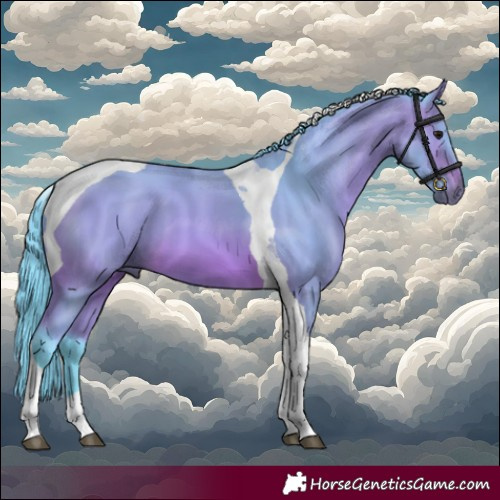 Horse Color:Watercolor Bay Tobiano 