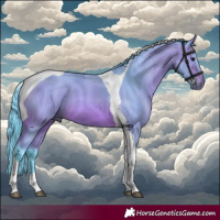 Horse Color:Watercolor Bay Tobiano 
