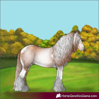 Horse Color:Gray Gold Champagne Tobiano 