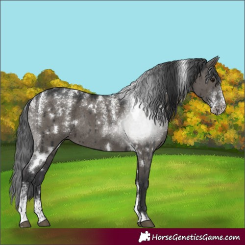 Horse Color:Powder White White Spotted Grullo Rabicano Brindle 