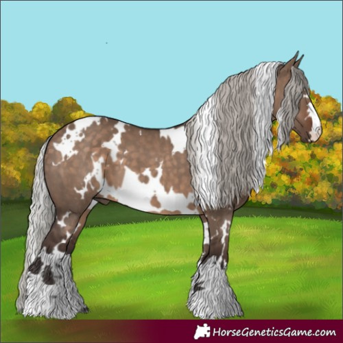Horse Color:White Spotted Silver Brown Dun