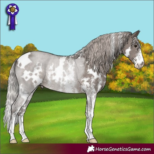 Horse Color:White Spotted Silver Black Sabino 