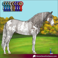 Horse Color:White Spotted Silver Black Sabino