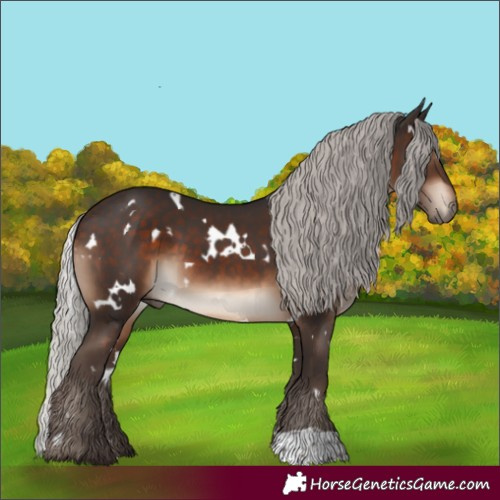 Horse Color:White Spotted Silver Brown