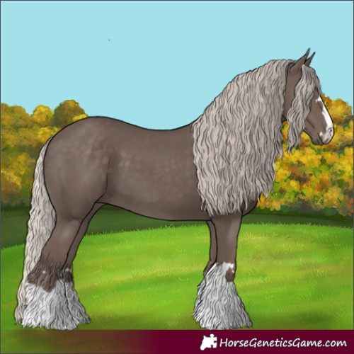 Horse Color:Silver Black 