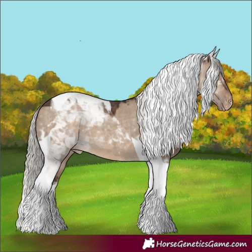 Horse Color:Silver Brown Dun Tobiano Appaloosa 