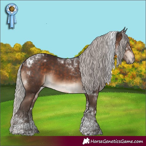Horse Color:Silver Brown Tobiano Rabicano