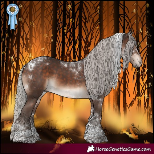 Horse Color:Silver Brown Tobiano Rabicano 