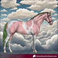 Horse Color:Watercolor Buckskin Tobiano 